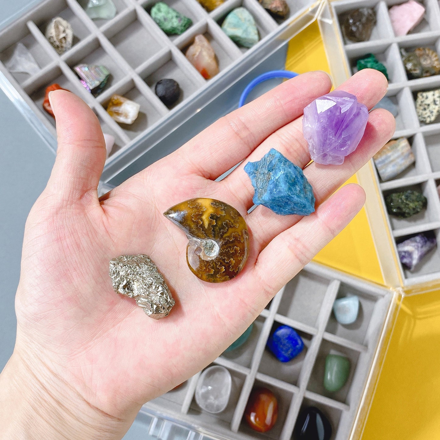 Variety of natural crystal gemstones from the specimen collection box, showcasing raw and vibrant stones